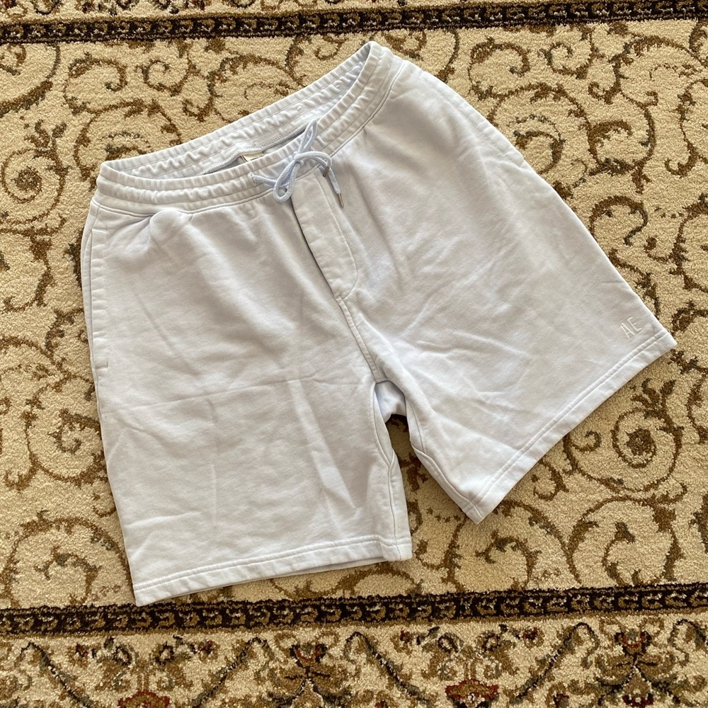 NWOT Mens American Eagle Jersey Knit Short - Med